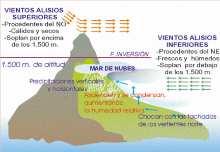 Geo, Canarias, Clima, Alisios y efecto Fhoen