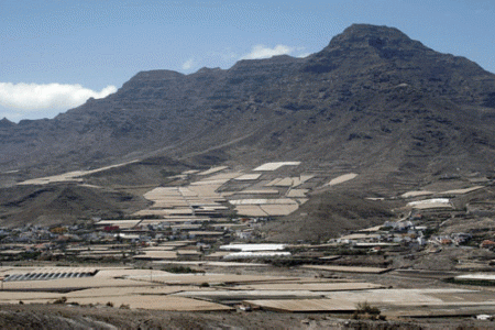 Geo, Canarias, Econmica, Agricultura, Paisaje de invernadero