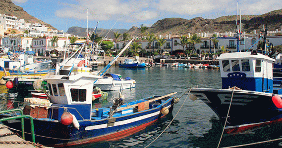 Geo, Canarias, Econmica, Pesca, Puerto Pesquero, Gran Canaria