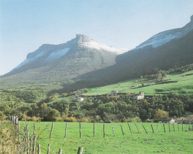 Geo, Castilla-Len, Fsica, Vegetacin, Valle de Mena, Burgos