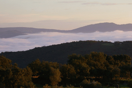 Geo, Extremadura, Fsica, Climatologa, Clima, Tiempo anticiclnico, Banco de niebla, Jerez, Badajoz