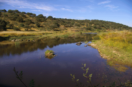 Geo, Extremadura, Fsica, Hidrologa, Ros, Ro Almonte, afluente del Tajo, Trujillo, Cceres