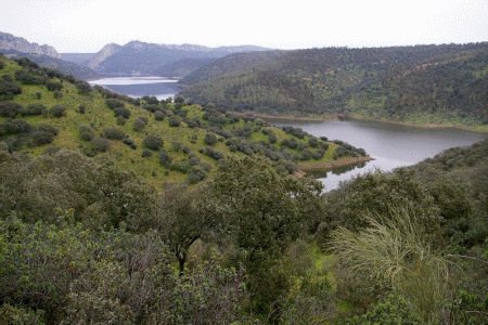 Geo, Extremadura, CUATERNARIO, Erosin y Sedimentacin
