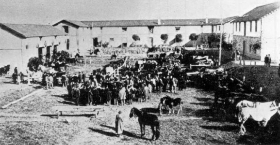 Geo, Navarra, Econmica, Comercio, Feria tradicional de ganado