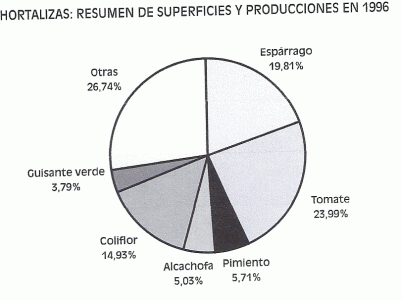 Geo, Navarra, Econmica, Agricultura, Hotalizas, Superficies-Producciones Direccin General de Agricultura, Gobierno Autnomo, Grfico, 1996