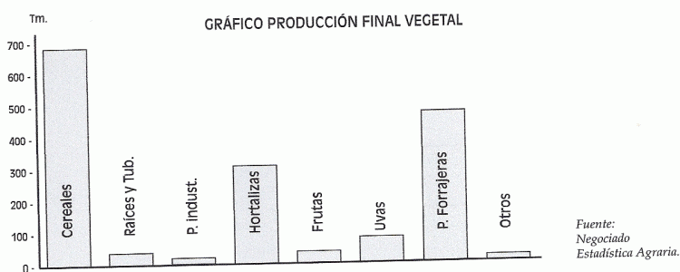 Geo, Navarra, Econmica, Agricultura, Produccin Vegetal, Direccin General de GAnadera (DGA), 1996
