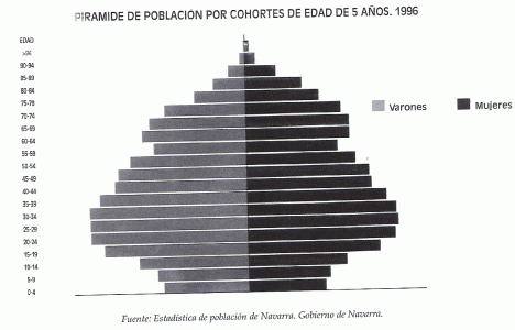 Geo, Navarra, Humana, Poblacin, Pirmide, Cohortes de 5 en 5 aos, Gobierno Autnomo, 1996