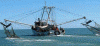  Economica  Sector Primartio Pesca Barco Arrastrero