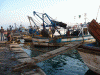 Economica, Pesca Artesanal, Puerto,  Argelia