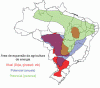Economica Agricultura Produccion Mapa Brasil
