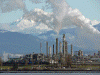 Economica Industria Petroquimica Brasil