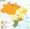 Fisica Clima Clasificacion Brasil