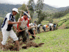 Economica Agricultura Tradicional Labrando la tierra Peru