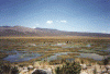 Fisica Altiplano en La Sierra Peru