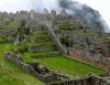 Humana Machu Pichu Llamas Peru