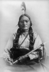 Humana Fotografias XIX Sitting Bull o Toro Sentado 1881 USA