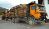 Economica Explotacion Forestal Traslado de TRoncos Camion con Remolque USA