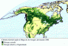 Economica Vegetacion Cubiderta Vegetal Bosques en el Mundo 2000 USA