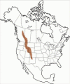 Fisica Relieve Montanas Rocosas Mapa USA
