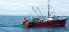 Economica Pesca Bareco Arrastre USA