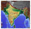 Fisica Relieve Mapa Topografico India