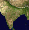 Fisica Vegetacion Satelite India