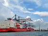 Economica Comercio Exterior Exportaciones RU