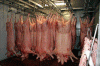 Economica Ganaderia Porcino Almacen carne Rusia