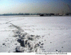 Fisica Hidrologia Rio Obi congelado cerca de Novosibirsk Siberia Occidental Rusia