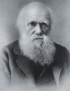 Hist XIX arwin Charles Evolucionista 1809-1882