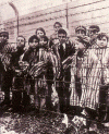 Hist XX Segunda Guerra M Campo de Concentracion Auschwitz Polonia Nios