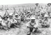 Hist  XX Indochina Tropas Coloniales Vietnamitas 1945-1954