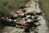 Hist XX Vietnam  Masacre de Mi Lay 16 del 3 de 1968