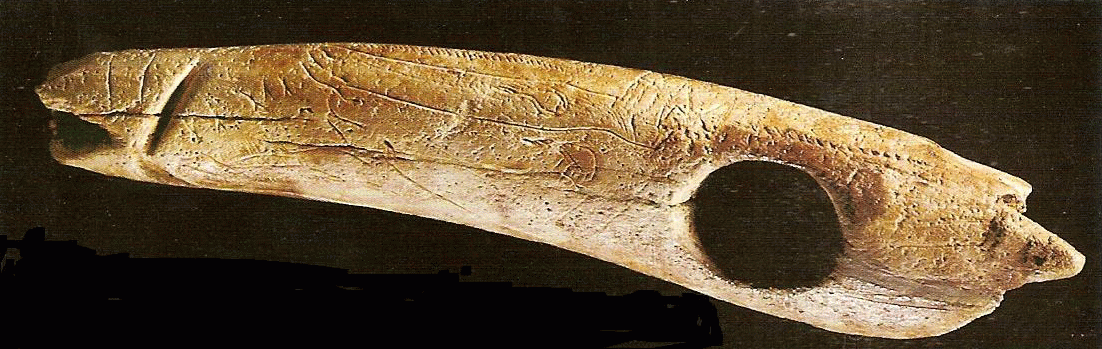 La base de datos Joya revisión Prehistoria Paleolitico Superior Esc Baston perforado del Pendo Cantabria  Espana.gif (1102×349)