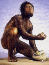 Prehistoria, Homo Habilis, 1,9- 1-6 millones aos, 600-700 cc