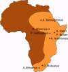 Hominidos Evolucion mapa Africa