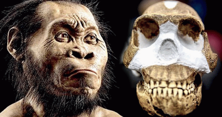 Homo Naledi Sudafrica 2,5-2 mlls Aos