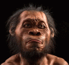 Prehistoria Hominidos Homo Naledi Anterior al Afarensis  Cueva Rising Star Sudafrica 2,5-2 mlls  Aos