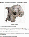 Prehistoria Hominidos Sahelantropus Chadensis o Tumai 360-370 cc Chad 7,2 - 6,8 Mlls Aos.