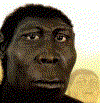 Prehistoria Homo Erectus  2-70000  Mlls y 750 Aos cc 