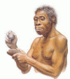 Prehistoria Homo Ergaster 1,9 - 1,7 mlls Aos y  871 cc