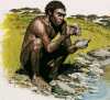 Prehistoria Homo Habilis 1,9 - 1,6 Mlls Aos y 600 a 700 cc