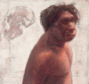 Prehistoria Homo Heidelbergensis  Miguelon  Atapuerca 60000-250000 aC y 1000 cc