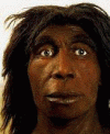 Prehistoria Homo Sapiens Neanderthalensis 230000 - 28000 y 1400- 1450 cc