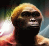 Prehistoria Prehominidos Australopithecus Africanus 520-580  cc Reconstruccion ideal Sudafrica 3,2 Mlls Aos
