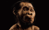 Prehistoria Hominidos Homo Naledi Posterior al Afarensis Cueva Rising 2,5-2 mlls Aos
