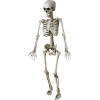 Australopithecus Esqueleto Lucy